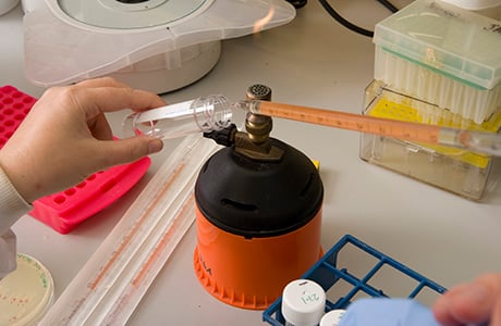 Student in a lab