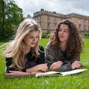 Students studying outside