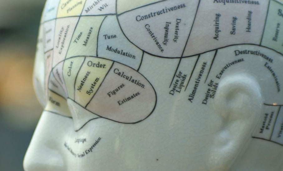 regions of the brain