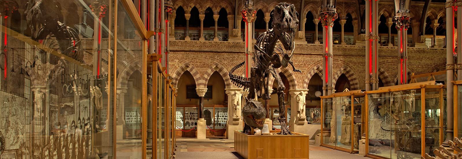 Interior of Natural History Museum at night. Credit: OUMNH Interior of Natural History Museum at night