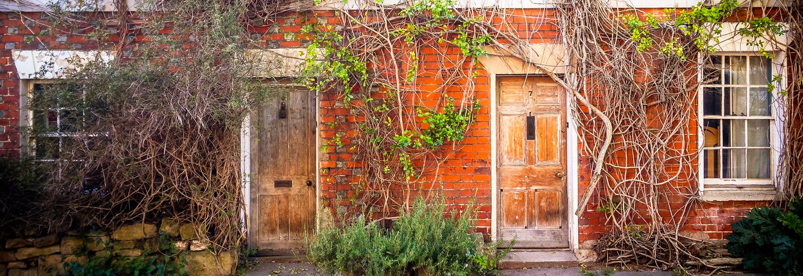 Two doorways with plants growing up the walls