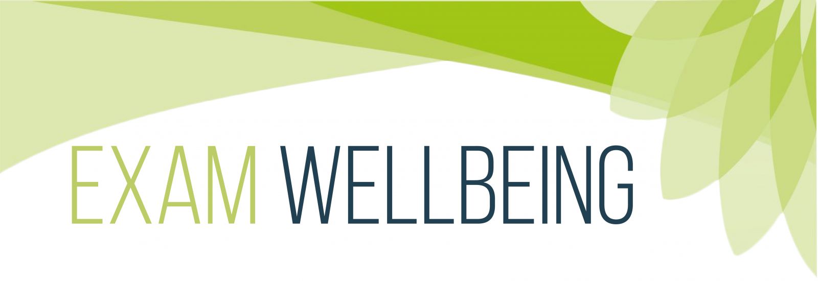 Exam Wellbeing