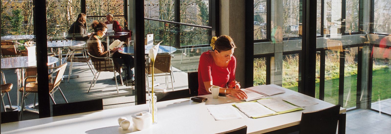 Students studying in a glass-walled cafe