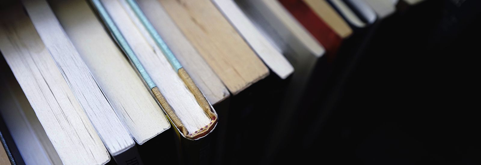 A row of books viewed from above
