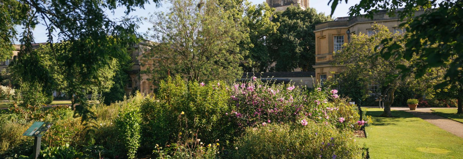 Oxford Botanic Garden