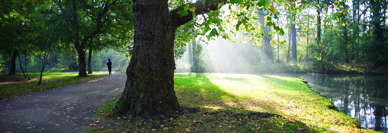 Christ Church Meadow Counselling appointment