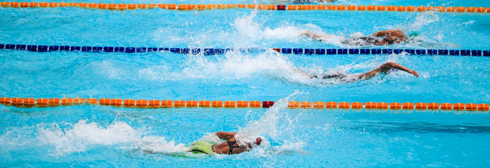 Swimmers competing in a pool.