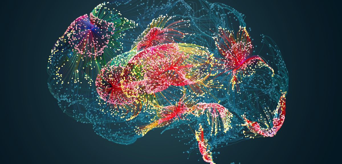 Research uncovers mechanism behind stubborn memories