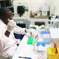 Photo | Technician working in the lab, Nanoro