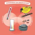 experiment or observation graphic