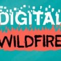 Turquoise background with white text "DIGITAL" and black text "WILDFIRE" on fire