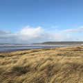 sea and sand